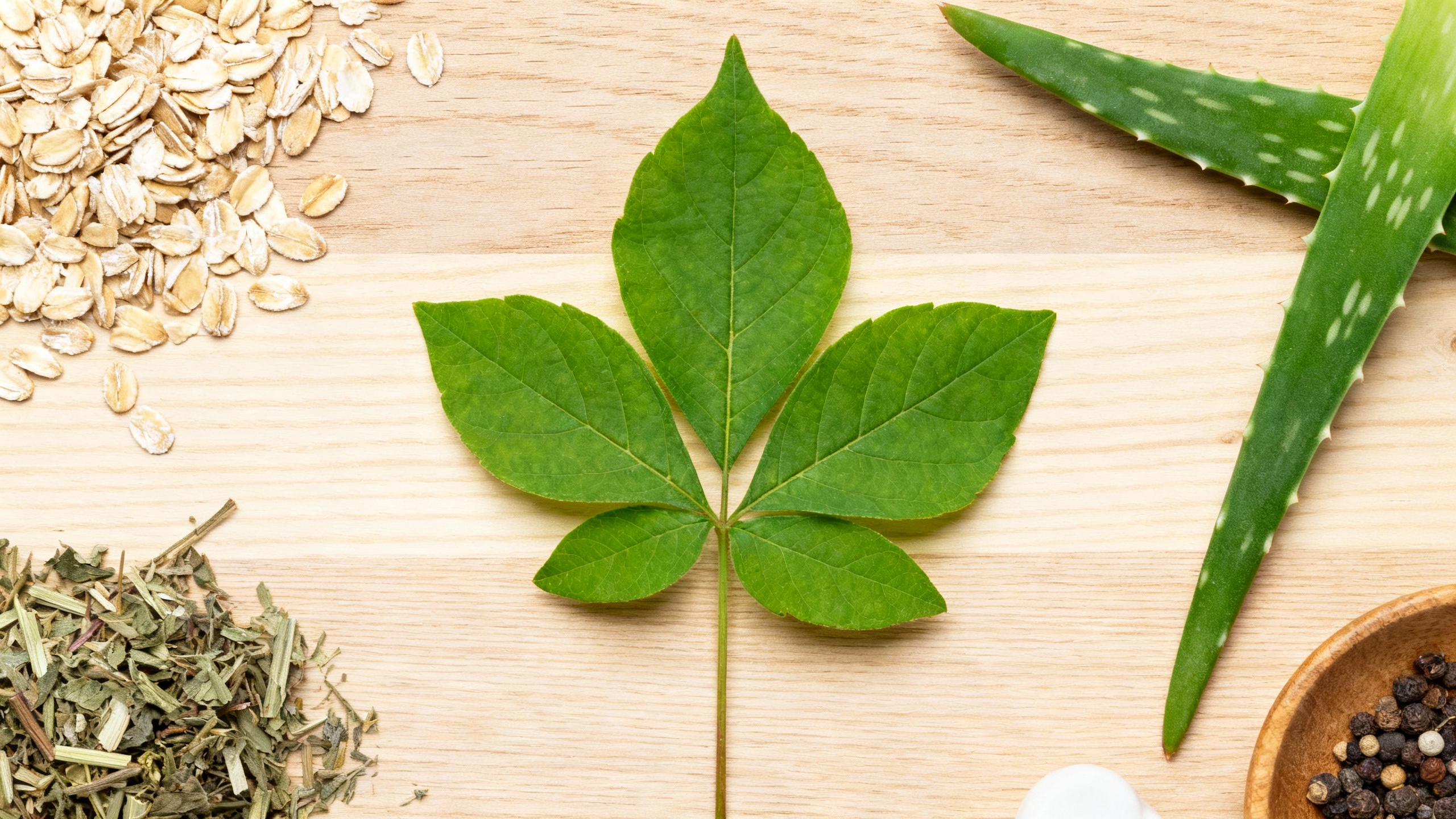 Featured image for Say Goodbye to the Itch: Natural Remedies for Managing Poison Ivy